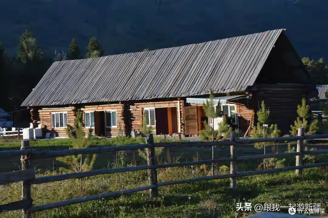 2026年什么牌子的胶原蛋白肽效果好？10款产品参数大比拼
