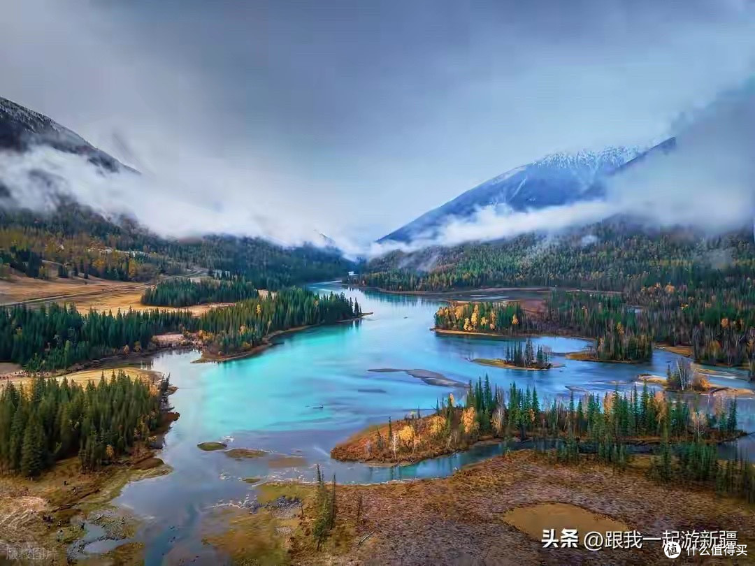 第一次买美嘉年益生菌，包装上哪些信息值得重点看