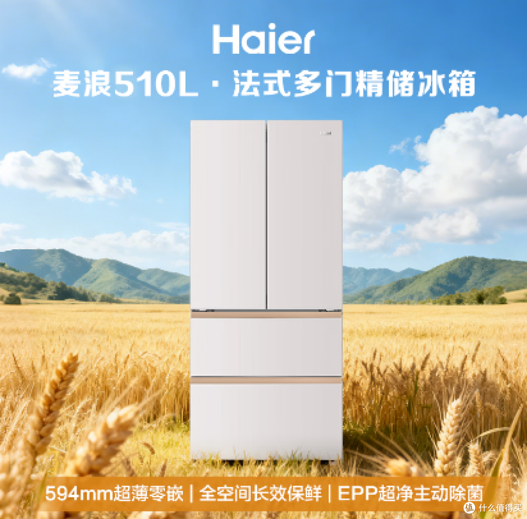 2026年双11(提前选):大容量大牌冰箱选购指南