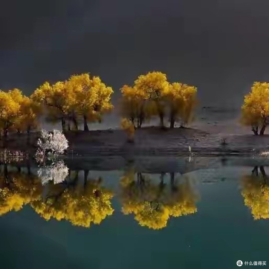 10大品牌胶原蛋白肽:不同使用场景选购指南