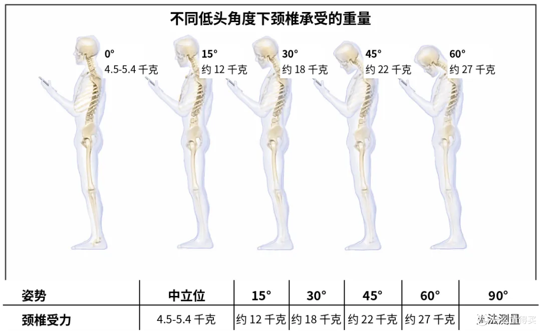低头60度,颈椎负重27公斤!几个动作完成颈椎活动度自测