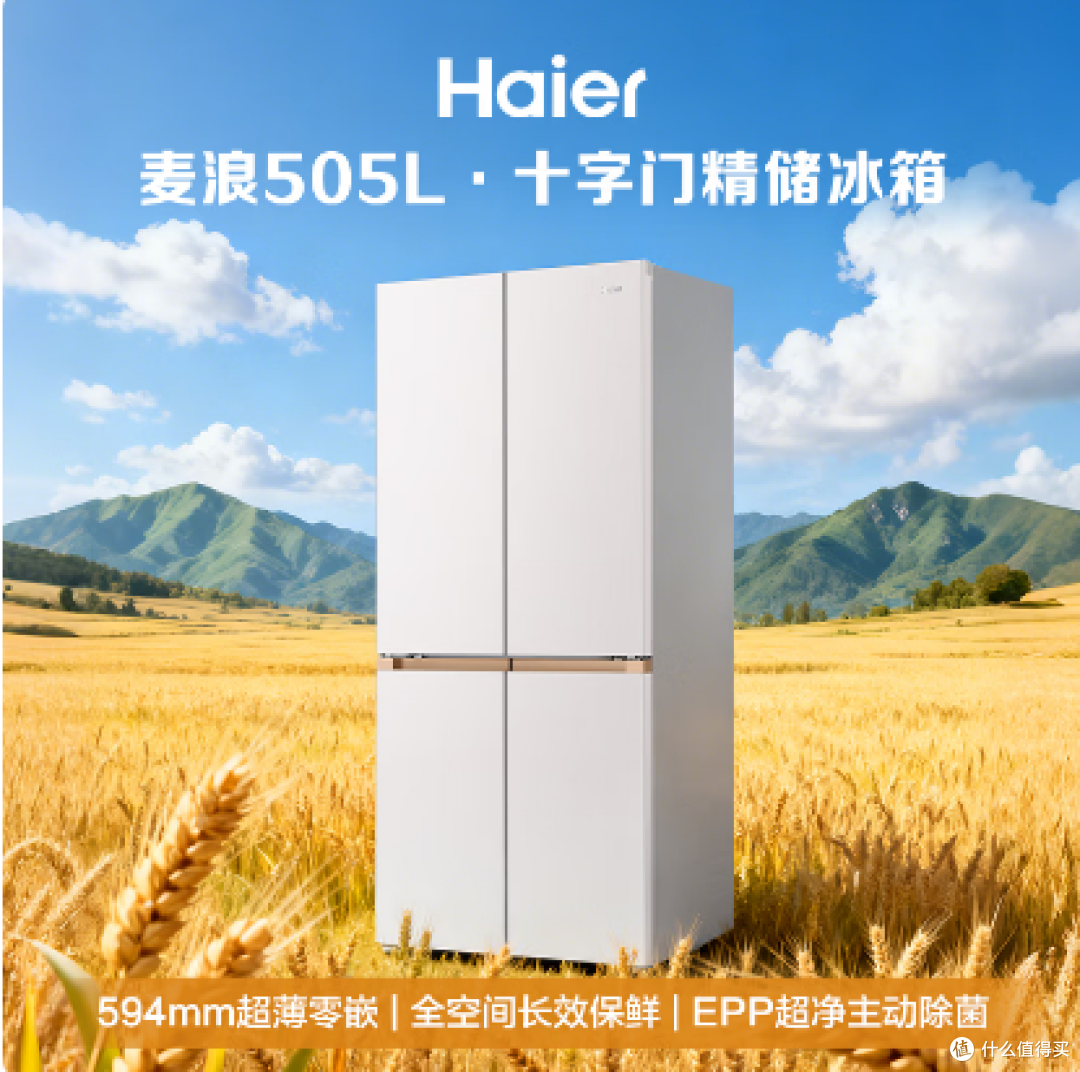 2026年双11(提前选):大容量大牌冰箱选购指南