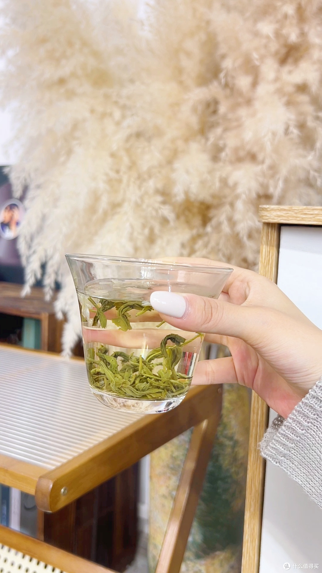 横县茉莉花茶如何辨别正宗正品