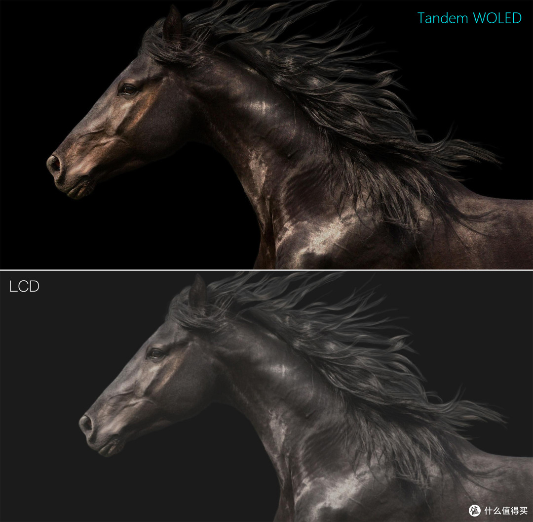 全新升级真·RGB Stripe排列!Tandem WOLED叠曜屏深度解析与实测