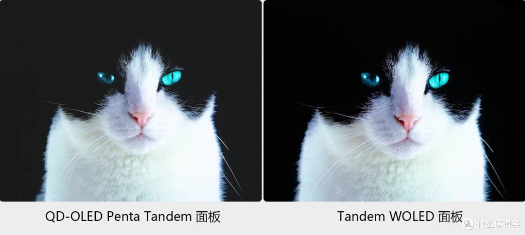 全新升级真·RGB Stripe排列!Tandem WOLED叠曜屏深度解析与实测