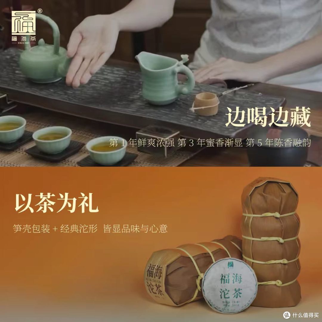 福海茶厂 2026 新品标杆生沱🍃