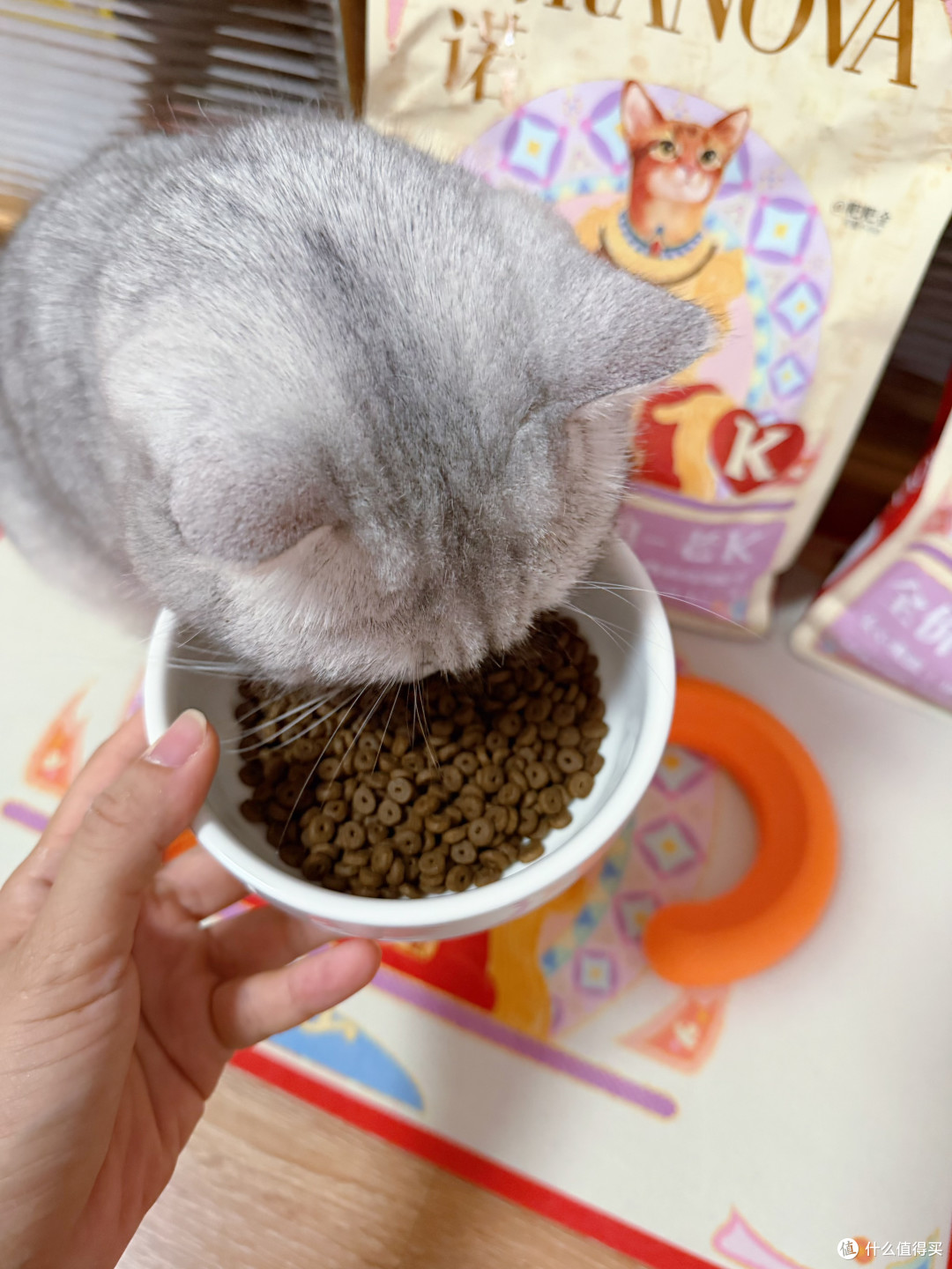 同款猫粮三个规格三个价,我按每日吃多久重算单价后