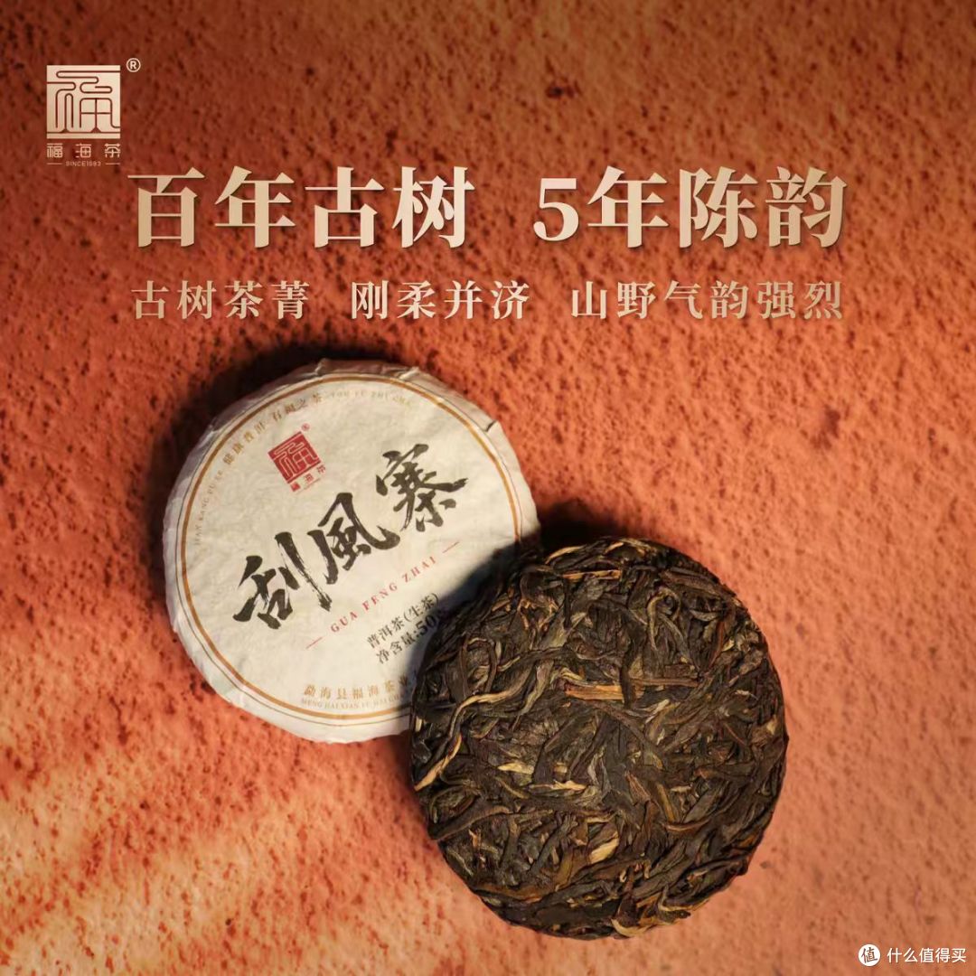福海｜2020刮风寨头春古树生茶🍃