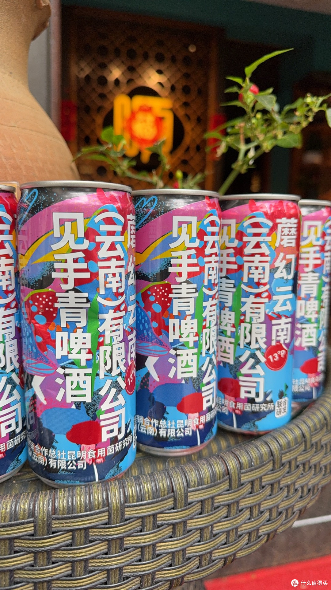 吃菌子见手青就臭豆腐能看到小人儿?十一天云南游记——篇二