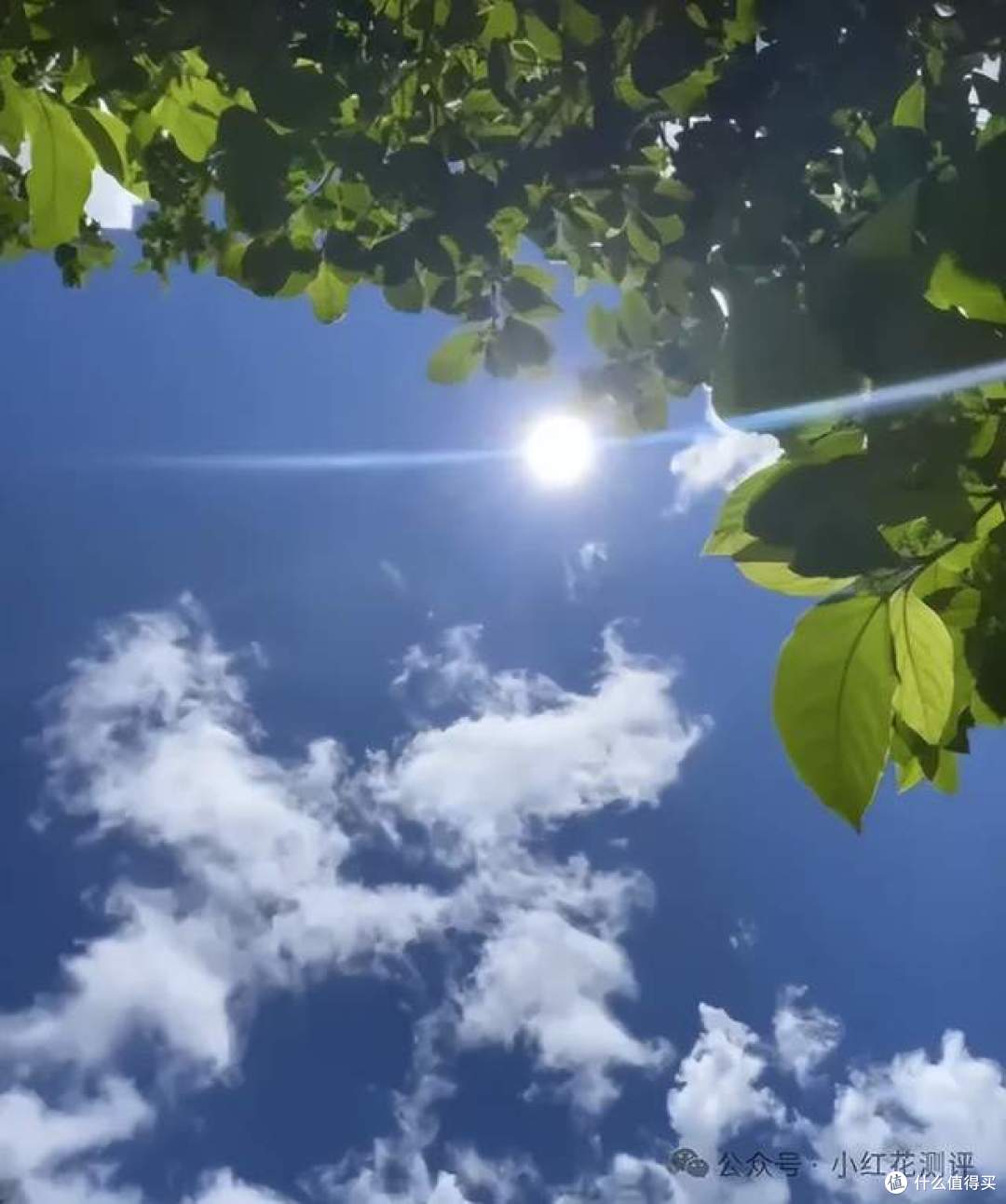 网红读写台能防近视?到底值不值得买?看完再决定