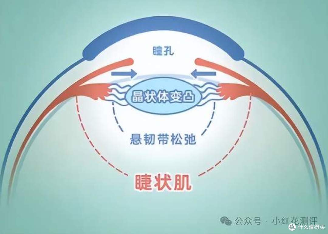 网红读写台能防近视?到底值不值得买?看完再决定
