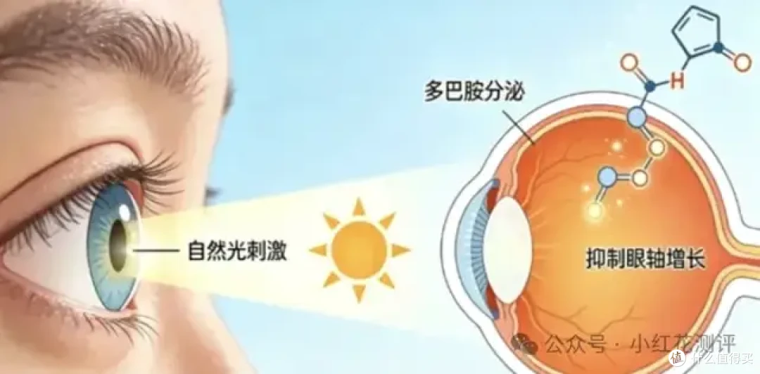 网红读写台能防近视？到底值不值得买？看完再决定