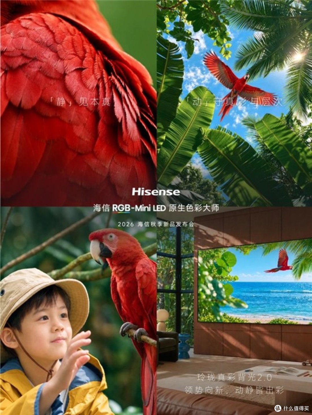 海信U7T Pro新品前瞻｜主打动态画质的 RGB-MiniLED 电视值得蹲吗