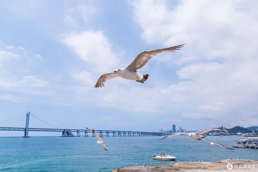 100块钱吃到爽！这座海滨城市也太多惊喜了