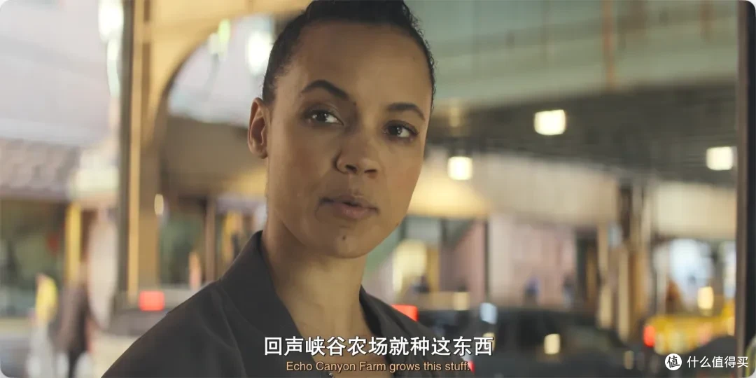 一次性放出全集,这部新剧太过瘾了