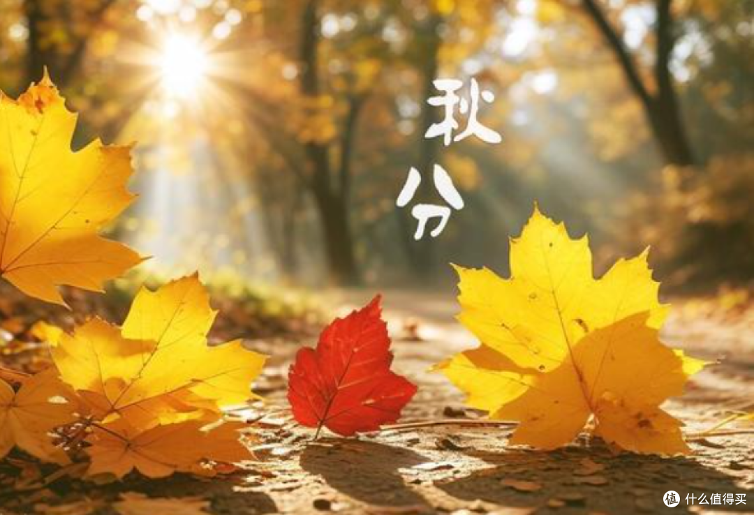 今日秋分,最该吃这“3菜2果1粥”,养肺润燥,便宜管用!快收藏