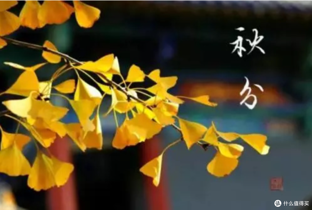 今日秋分,最该吃这“3菜2果1粥”,养肺润燥,便宜管用!快收藏