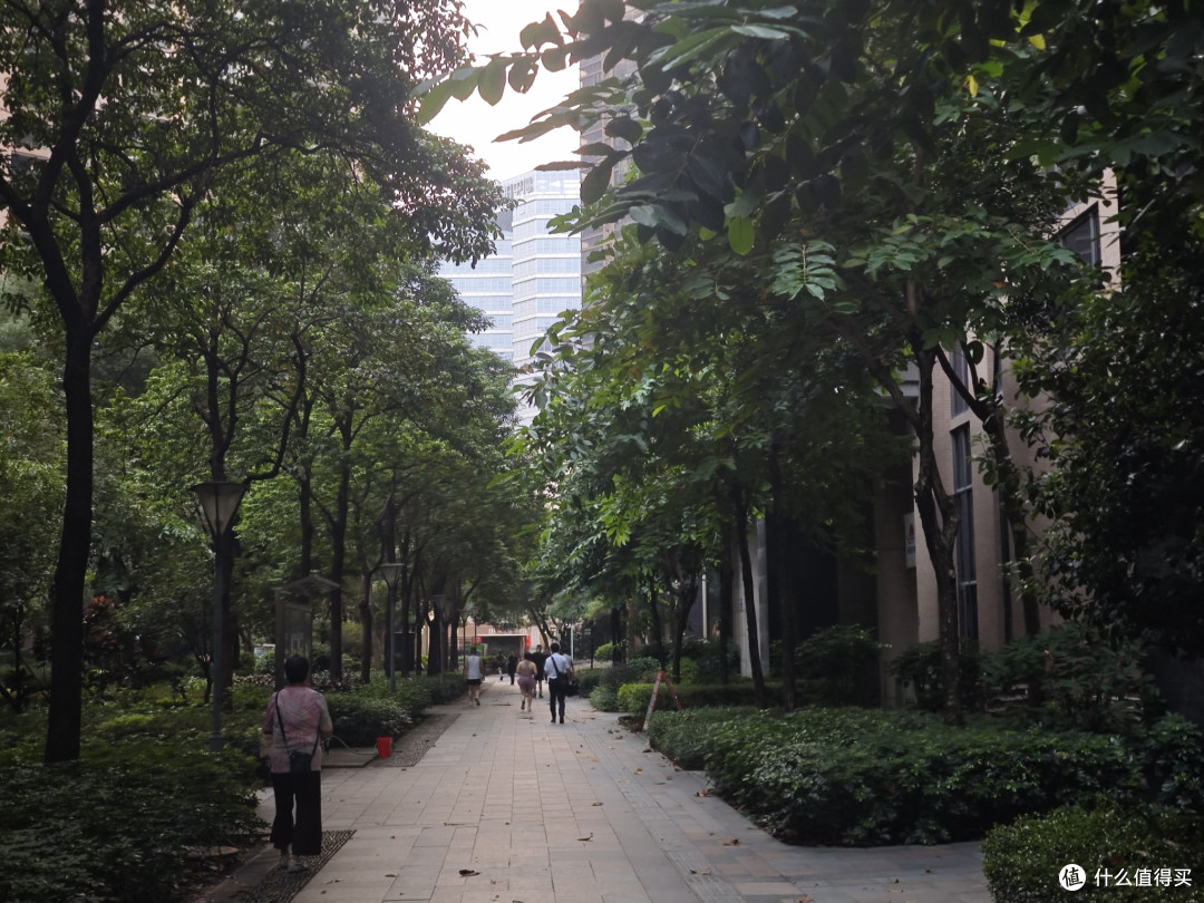 5公里跑完，天就完全亮了，人也多起来了