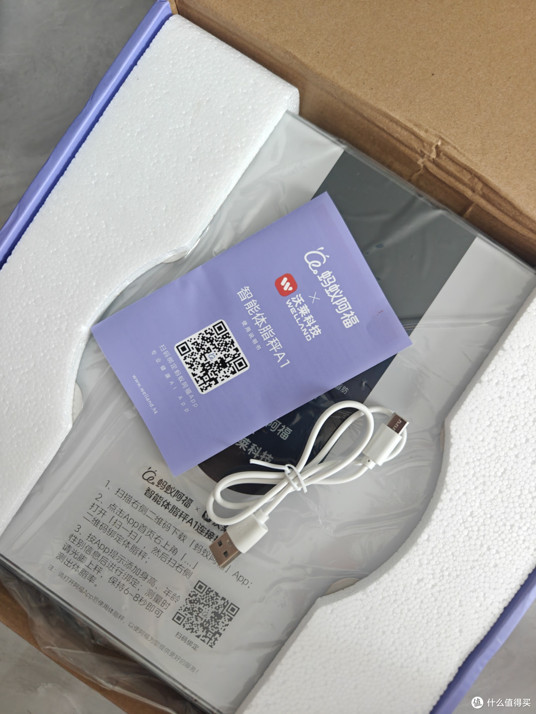 最近很火的5块钱蚂蚁阿福体脂秤,我帮你们试试