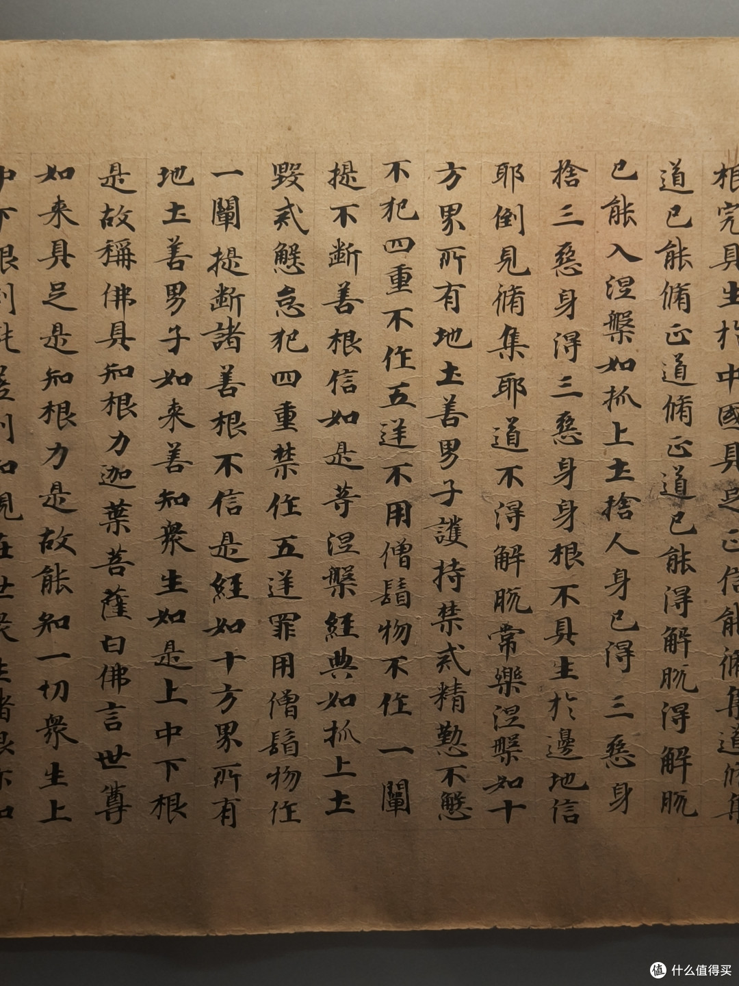 带娃逛贵州省博物馆:铜车马很震撼,但惊喜远不止它