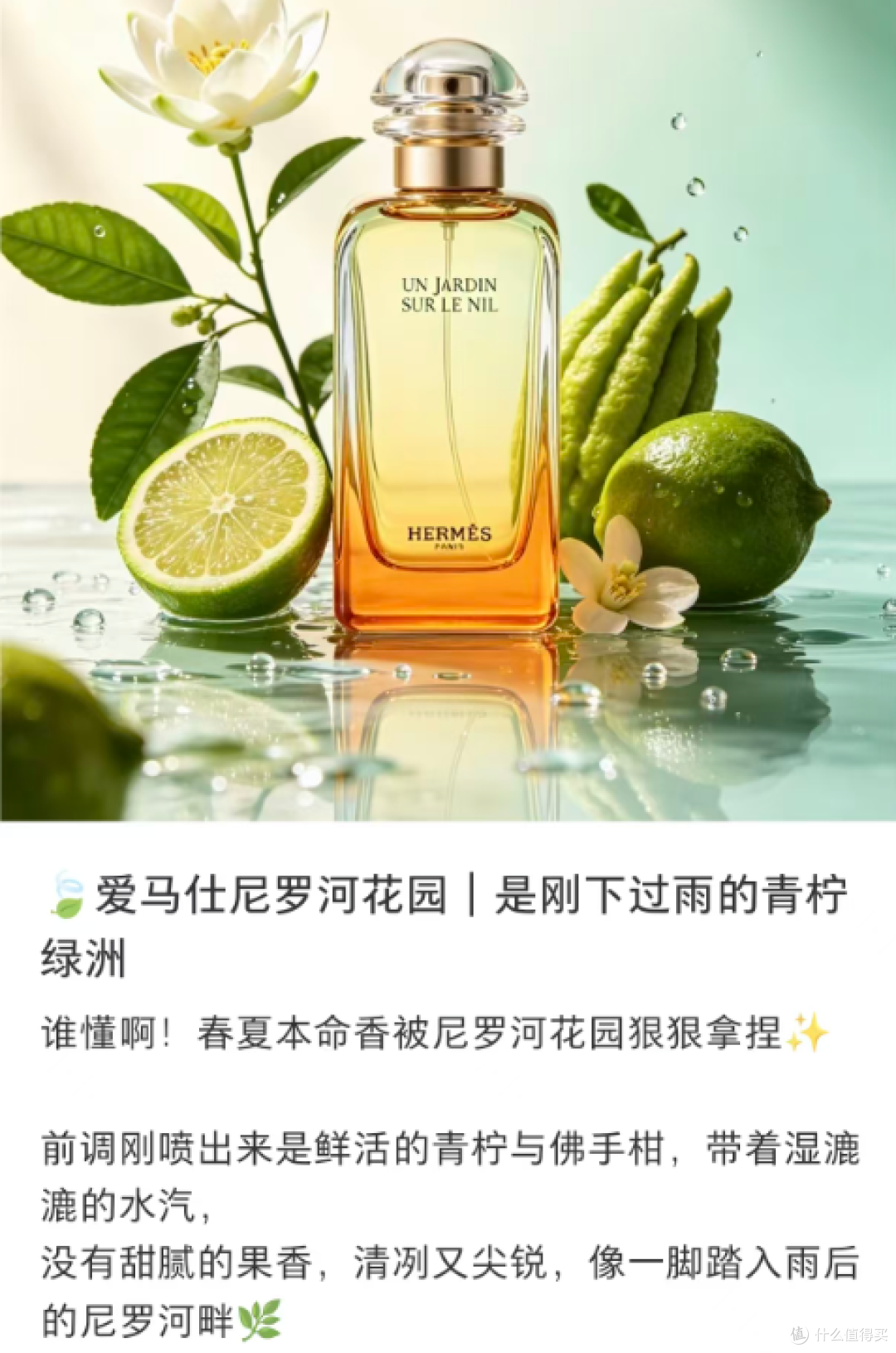 唯品会遇见爱马仕尼罗河本命香,有几句话不吐不快