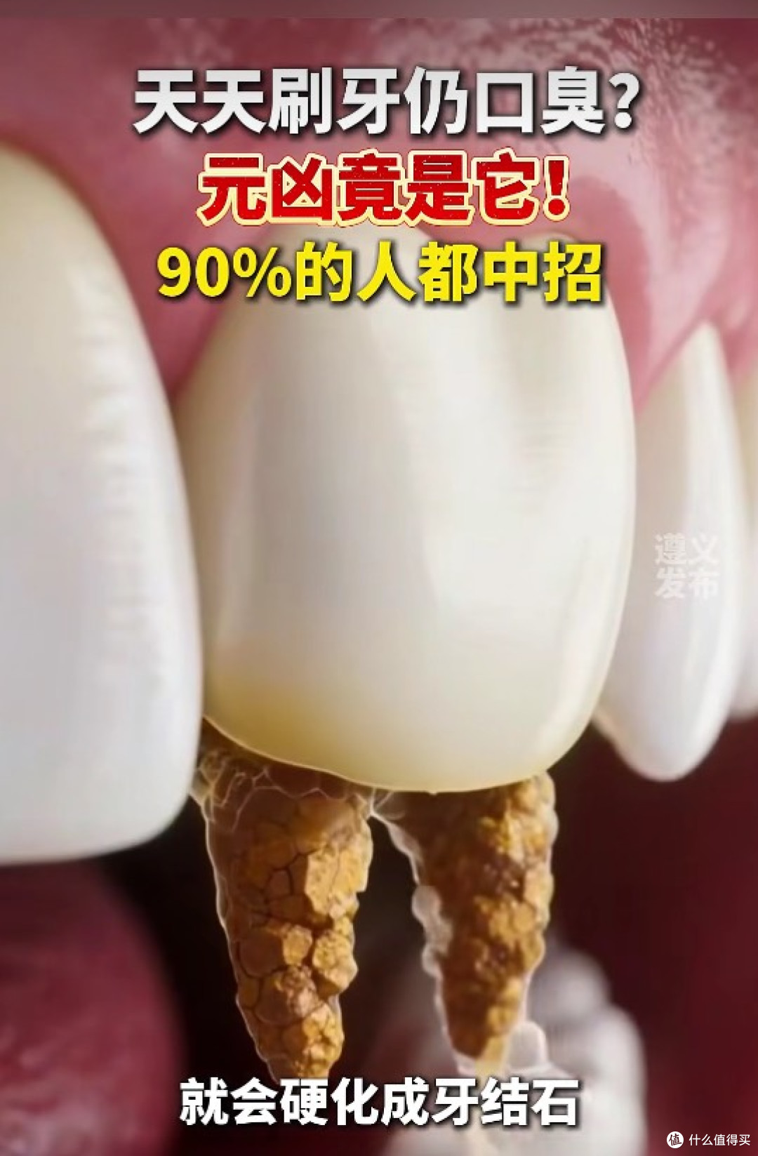 口臭不是胃的锅!牙缝里那块黄石头,才是你张嘴就社死的元凶