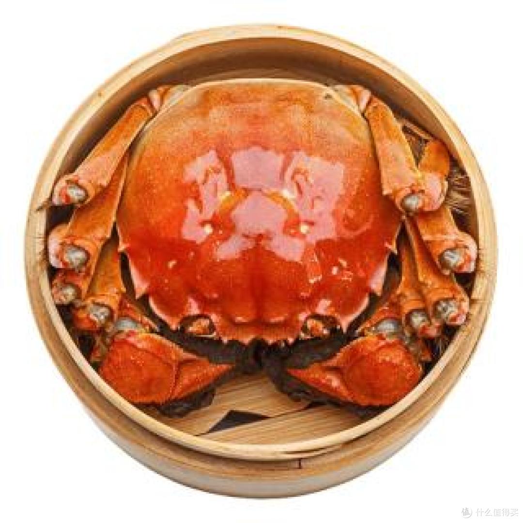 大闸蟹怎么挑?记住这四点不踩坑