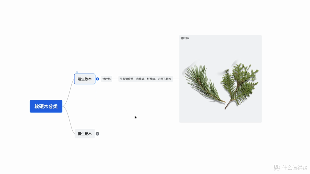万字长文一篇搞懂实木家具之——选对料