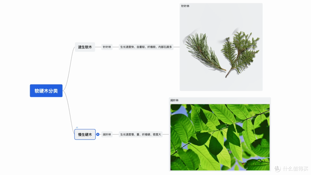 万字长文一篇搞懂实木家具之——选对料