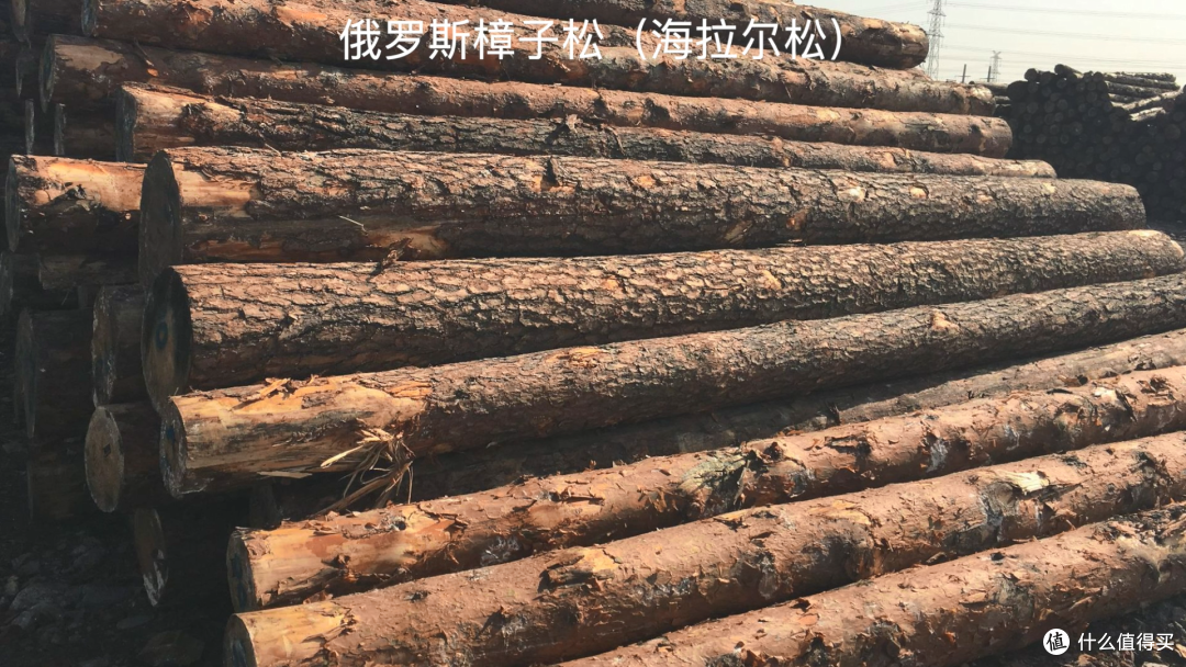 万字长文一篇搞懂实木家具之——选对料