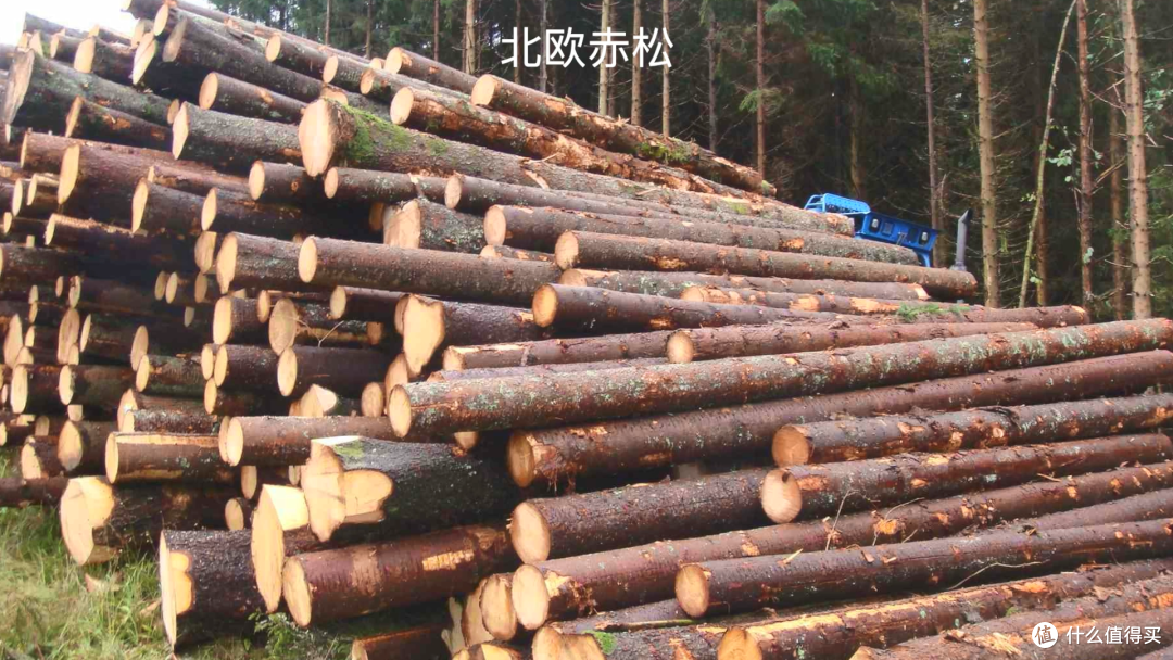 万字长文一篇搞懂实木家具之——选对料