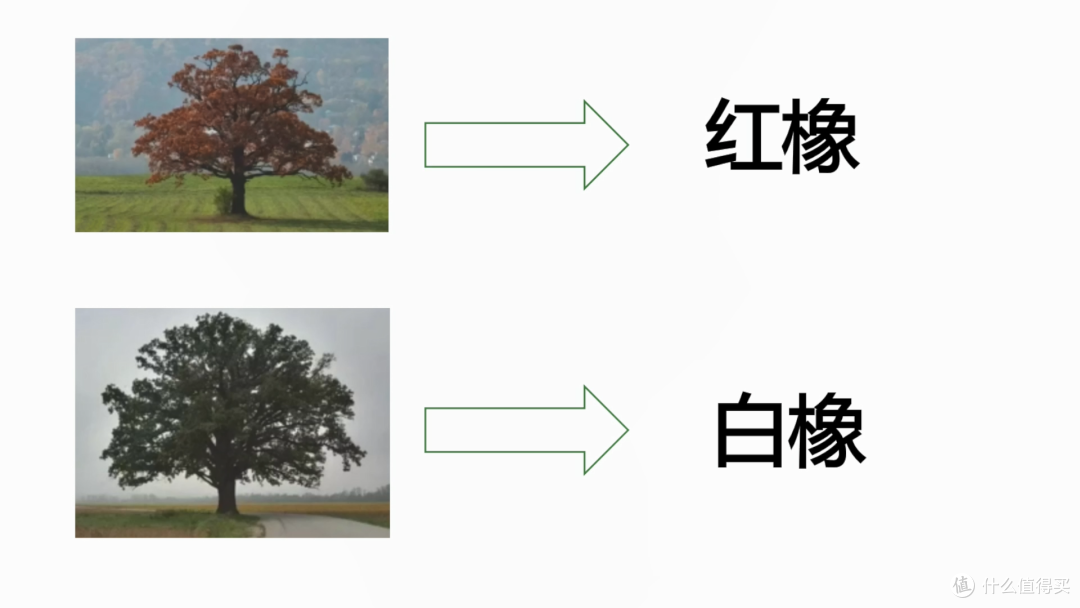 万字长文一篇搞懂实木家具之——选对料
