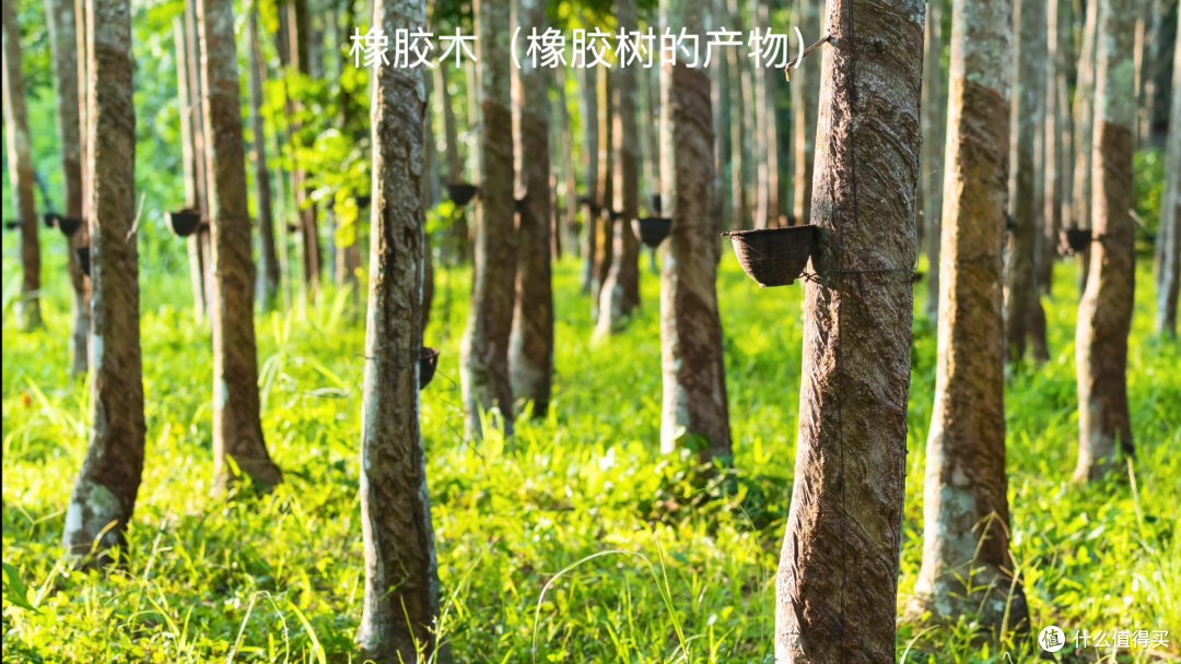 万字长文一篇搞懂实木家具之——选对料