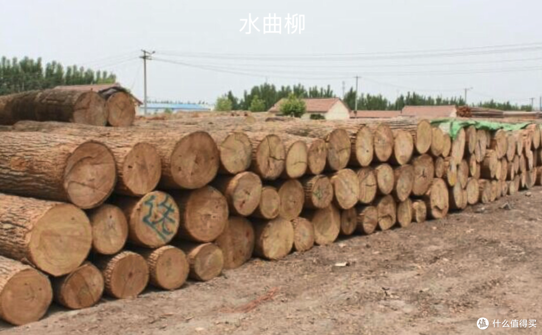 万字长文一篇搞懂实木家具之——选对料