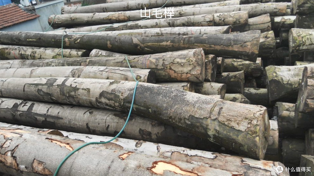 万字长文一篇搞懂实木家具之——选对料