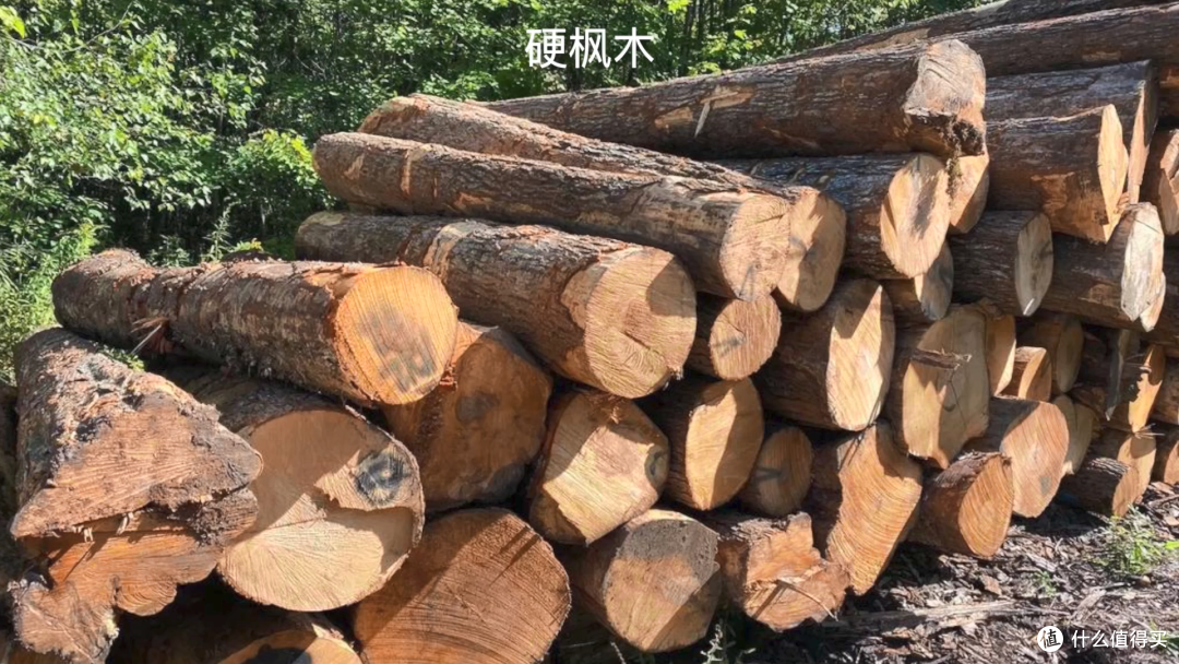 万字长文一篇搞懂实木家具之——选对料