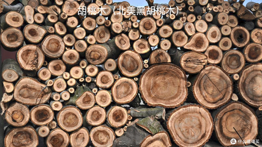 万字长文一篇搞懂实木家具之——选对料