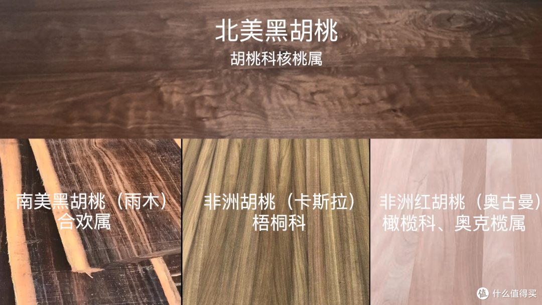 万字长文一篇搞懂实木家具之——选对料
