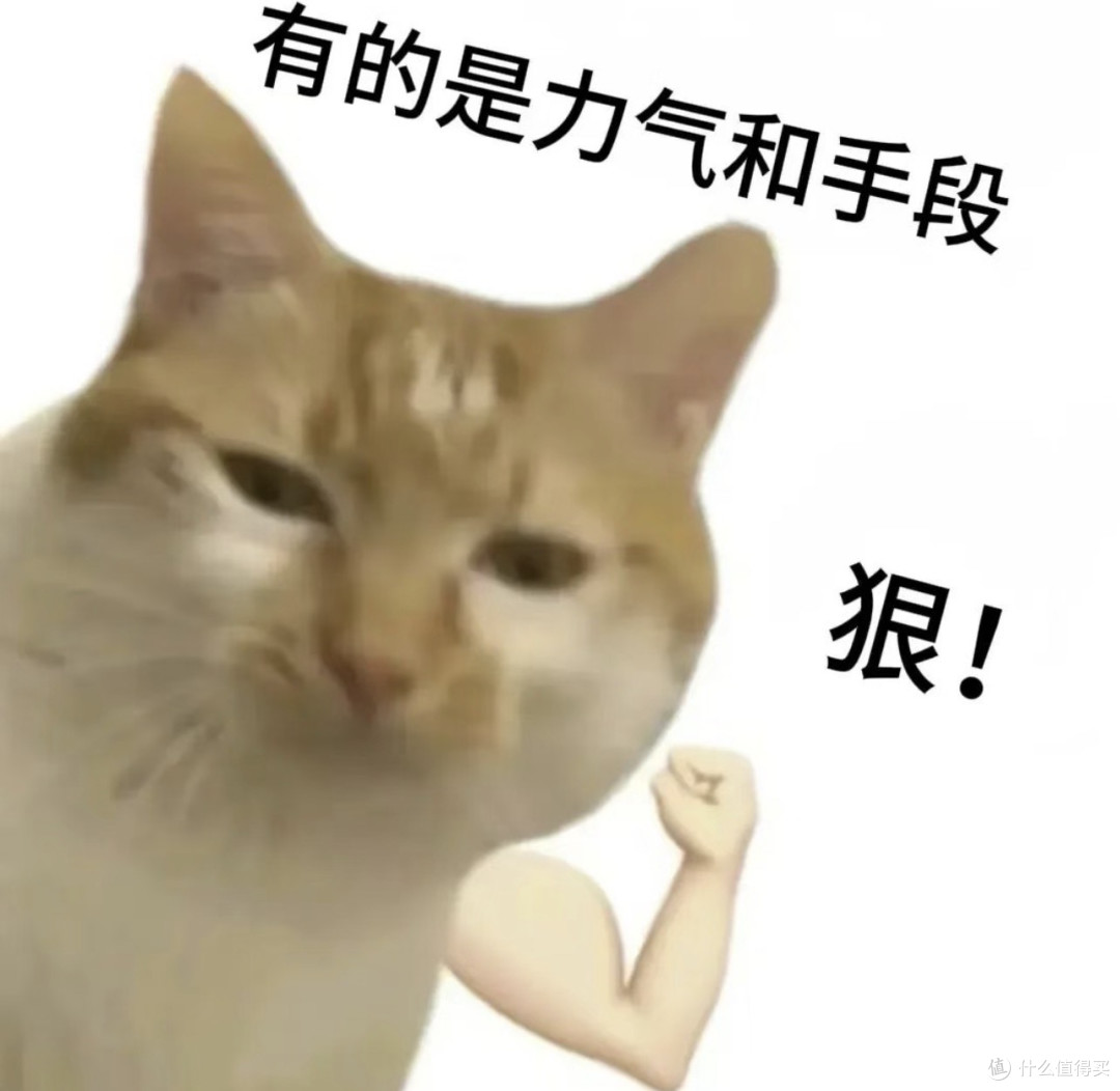 91999元一张显卡,国产GPU的“止痛药”被海关一纸禁令撤了
