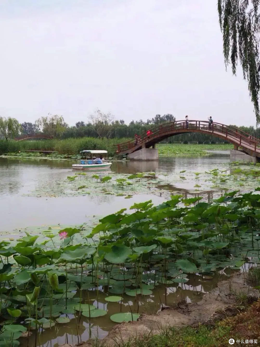 网友评出的15个“离谱景区”,让人无奈到笑,旅游时注意提前了解