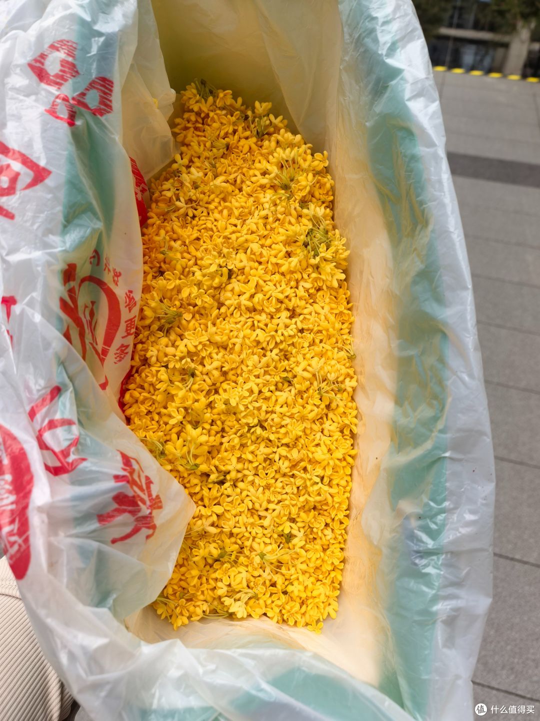 秋分 | 一起来做润肺安神的桂花糖