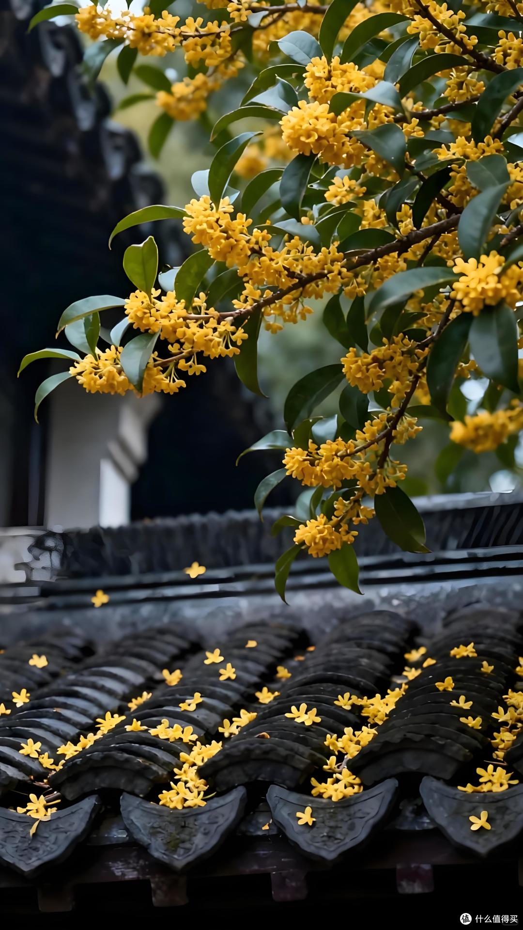 秋分 | 一起来做润肺安神的桂花糖