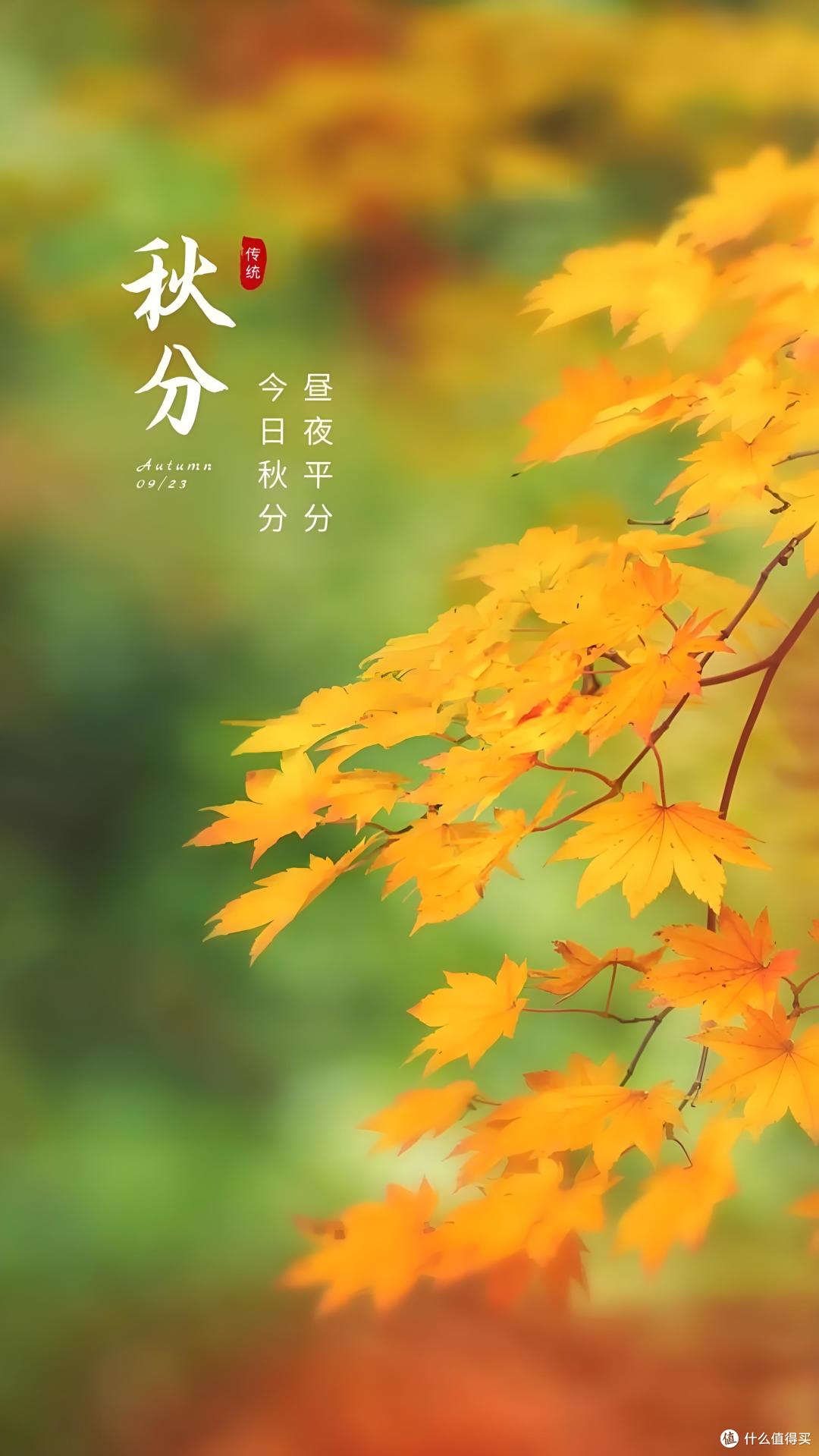 秋分 | 一起来做润肺安神的桂花糖