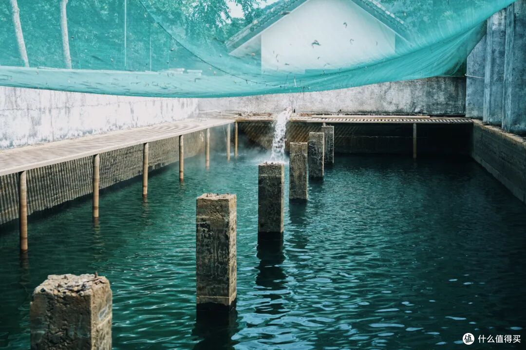 赶海吃美食泡温泉!双节反向旅行,这座小城安逸惨