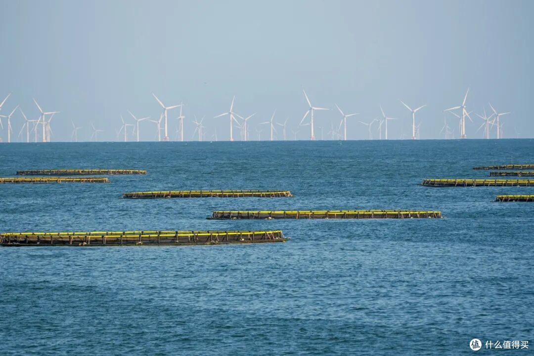 赶海吃美食泡温泉!双节反向旅行,这座小城安逸惨