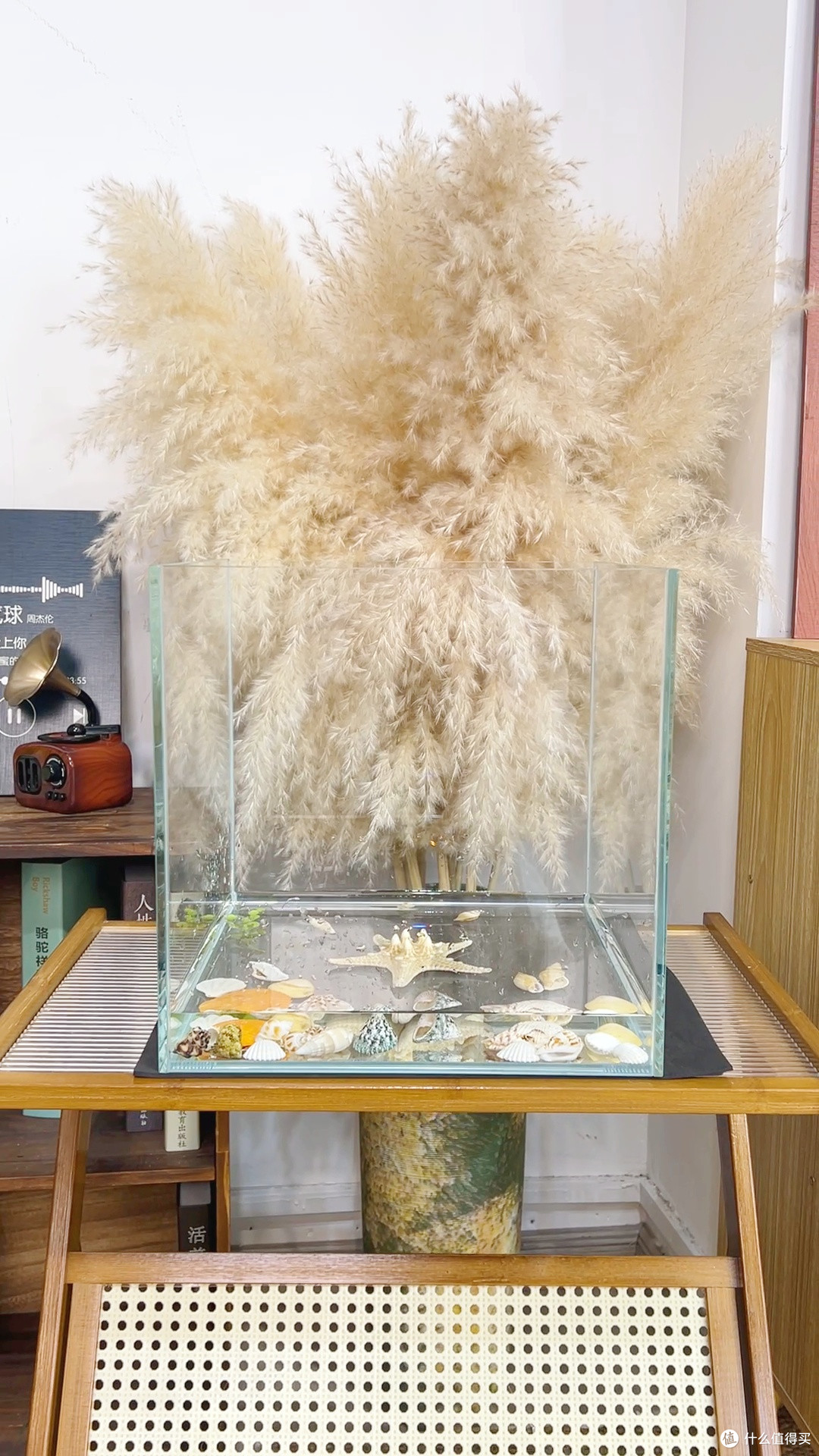 超白鱼缸水草缸,金晶五线定制款