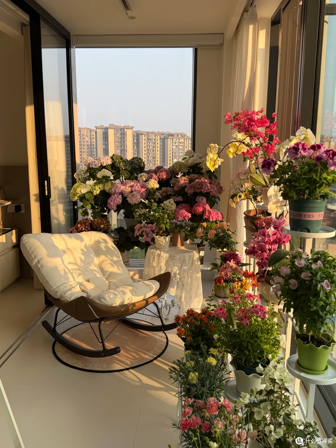 “养废”10多盆花的血泪教训:这10种花新手别乱买,谁养谁后悔!
