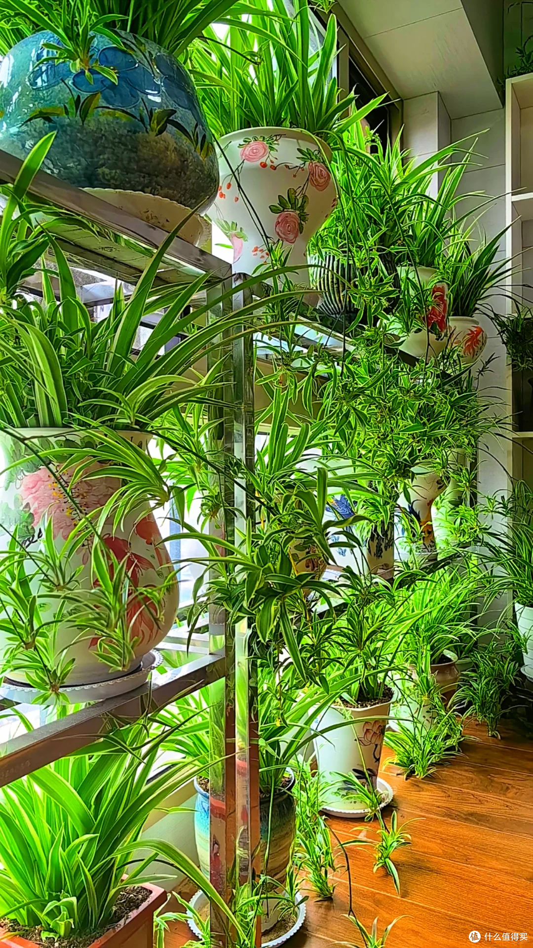 入秋后,抓紧给这8种花“剃光头”,剃得越狠,长势越旺!