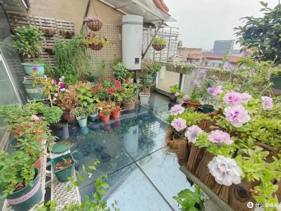 越来越多人搬出“顶楼”?过来人:想象很美好,入住后却一言难尽