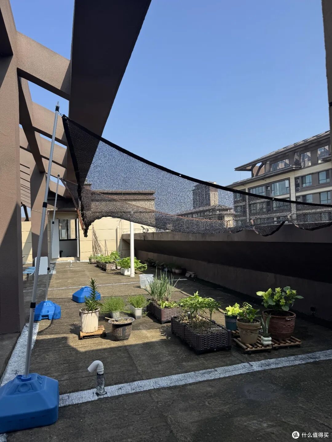 越来越多人搬出“顶楼”?过来人:想象很美好,入住后却一言难尽